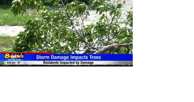 Hail and thunderstorms leaves streets needing cleanup - Vimarsana News