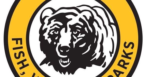 Elk on Crow Reservation test negative for brucellosis