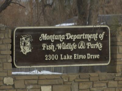 Montana Fish Wildlife Parks Proposes Buying Two Islands On Yellowstone River News Kulr8 Com