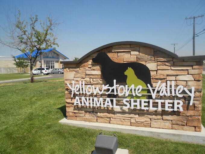 Valley store animal shelter