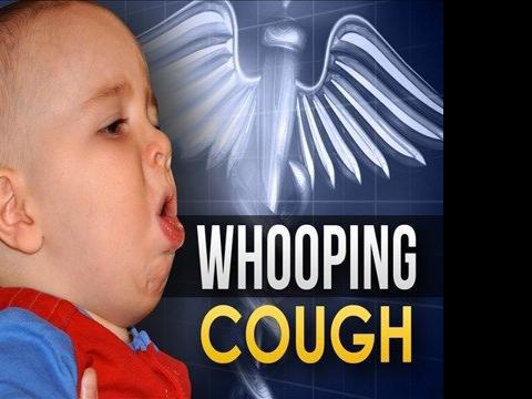 Whooping Cough Confirmed In Bozeman Public Schools Wake Up Montana Kulr8 Com