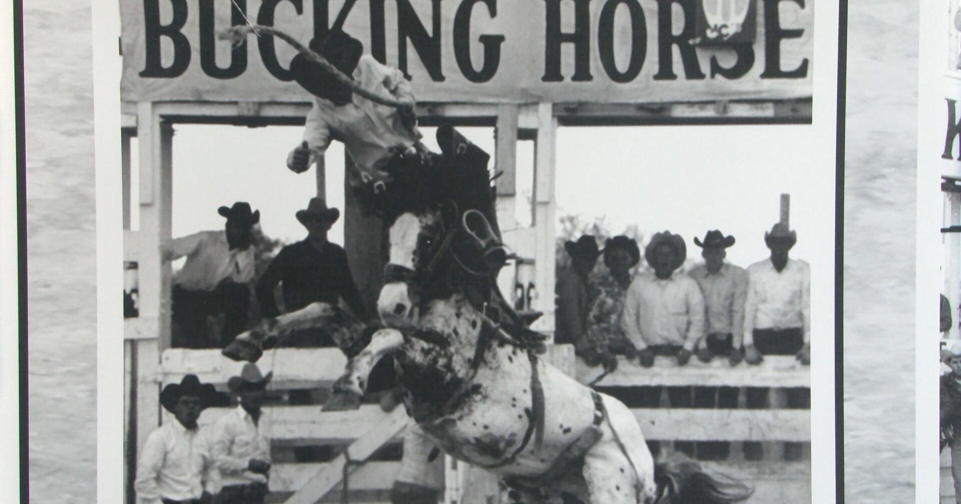 Miles City Bucking Horse Sale honored for historic value - Vimarsana News