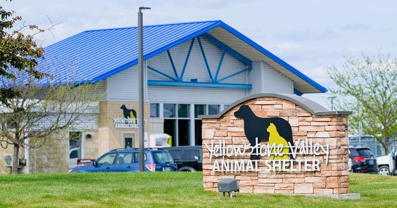 ZooMontana "Barkitecture" fundraiser supports new Yellowstone Valley