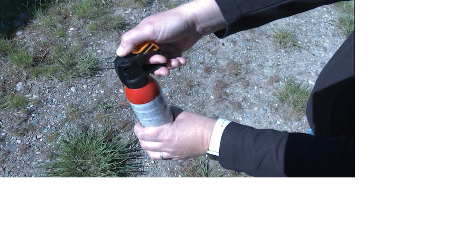 Montana Fish and Wildlife Commission rejects bear spray rule