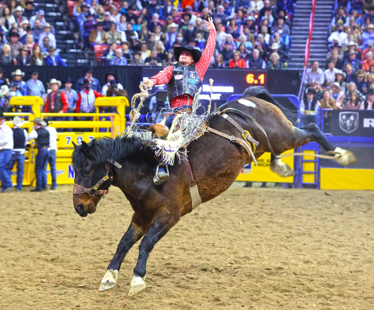 Melstone's Sage Newman Shares Saddle Bronc Win In Reno | Rodeo | Kulr8.com