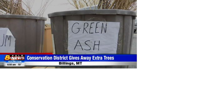 200+ free trees available Friday, May 6 in Billings - Vimarsana News