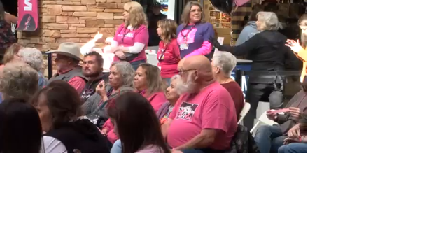 Pack the Mall in Pink provides awareness and financial aid for breast cancer patients - Vimarsana News