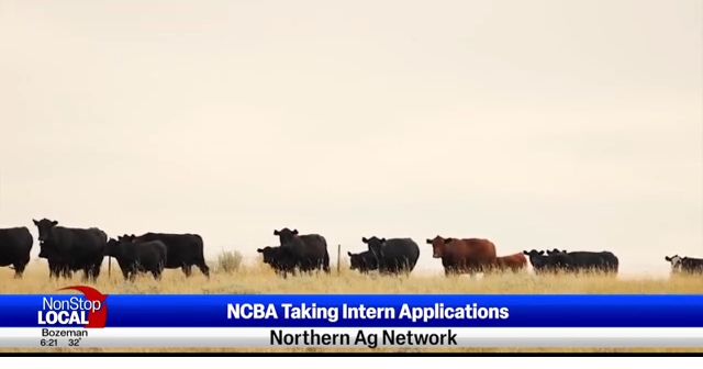 Northern Ag Report: NCBA Taking Intern Applications | AG Report | kulr8.com