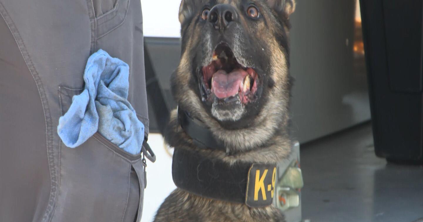 Annual law enforcement K-9 certification commences. - Vimarsana News