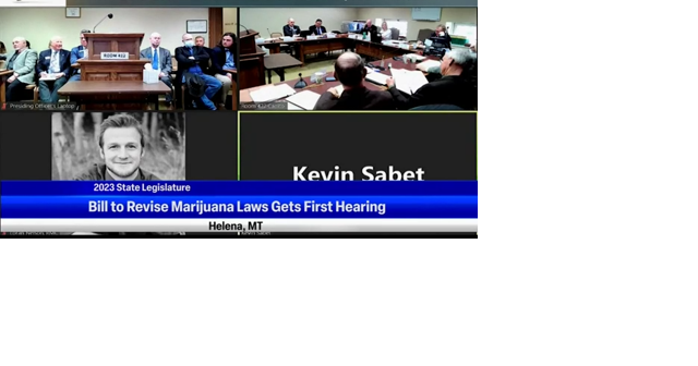 SB 546 supporters and opponents are heard by a committee - Vimarsana News