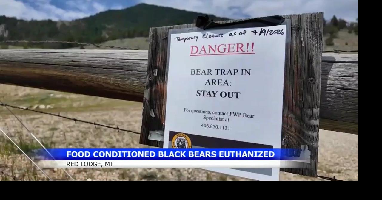 FWP Warns Against Feeding Bears After Six Food-Conditioned Bears Euthanized Near Red Lodge so far this year
