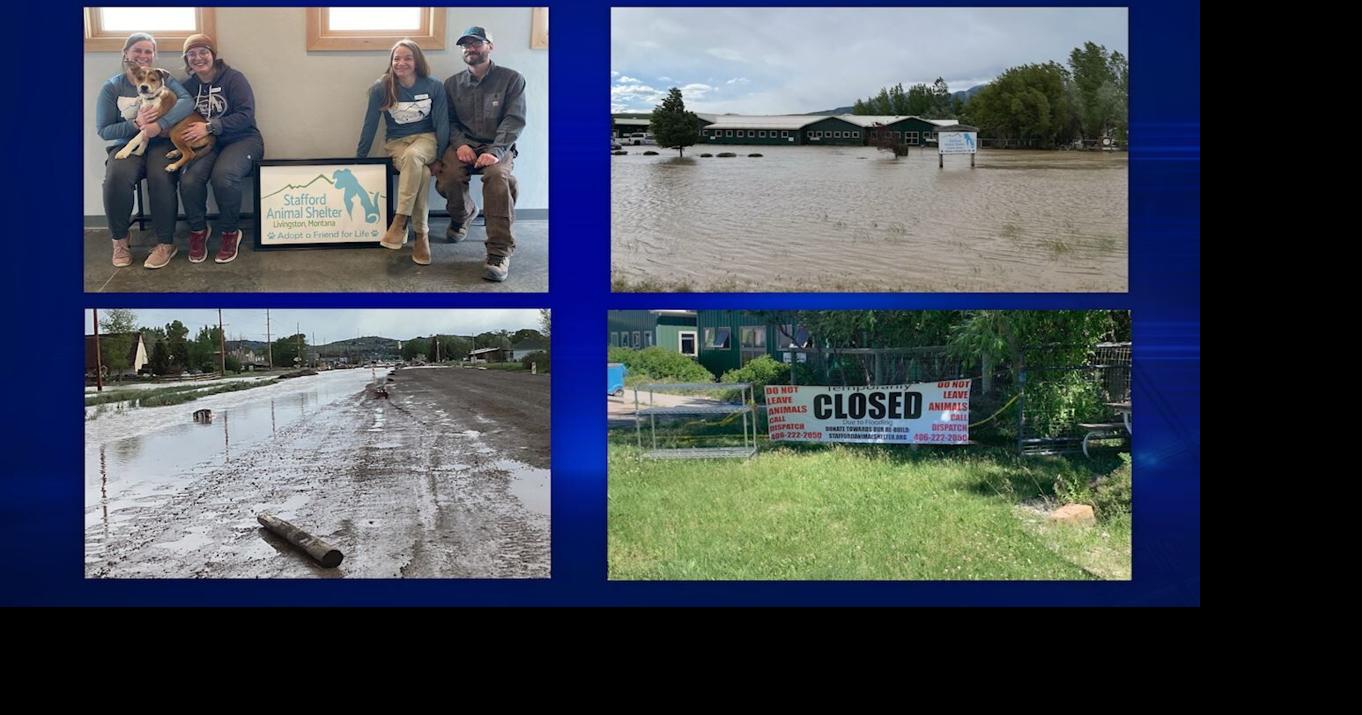 After disastrous summer flooding, The Stafford Animal Shelter ReOpens