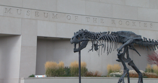 National Fossil Day brings Montana’s prehistoric past to life at Museum of the Rockies