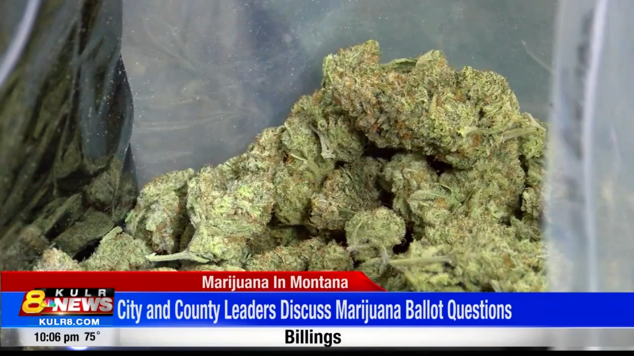 Local Leaders Discuss Marijuana's Future For November Ballot | Billings ...