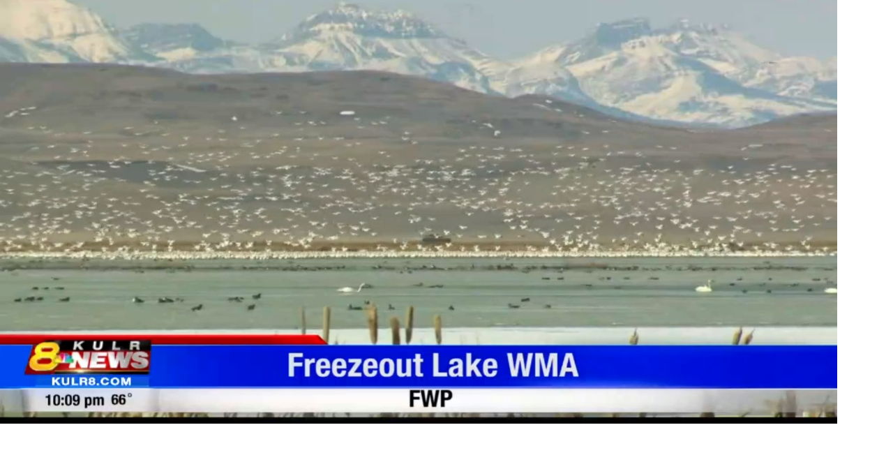 Outdoor Report Freezeout Lake WMA Billings News