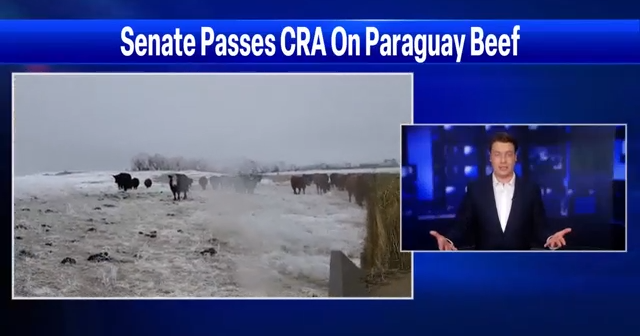 Senate passes Tester, Round's bipartisan CRA overriding Biden admin on Paraguay beef imports - Vimarsana News