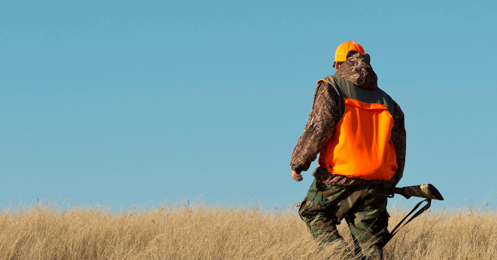 Upland Game Bird Enhancement Program Projects Access Guide available online starting Aug. 10 - Vimarsana News