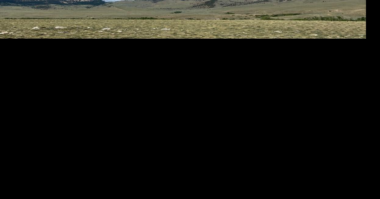 HWY 308 between Red Lodge and Belfry reopens Billings News