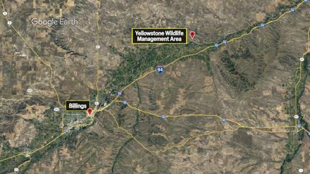 Fence pull at Yellowstone Wildlife Management Area postponed - Vimarsana News