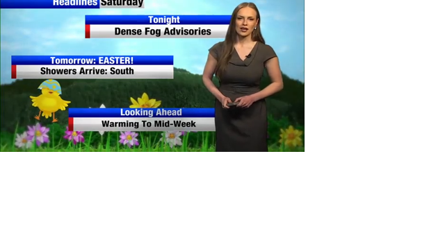 Dense Fog Advisories may slow Easter travels - Vimarsana News