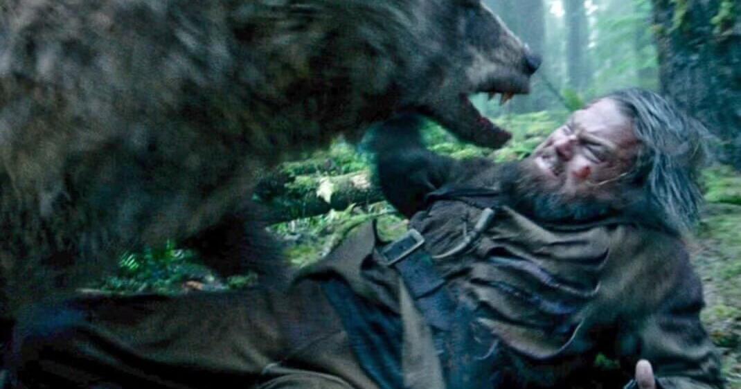 'Like a dog shakes a rat': Survivors of grizzly attacks detail close encounters