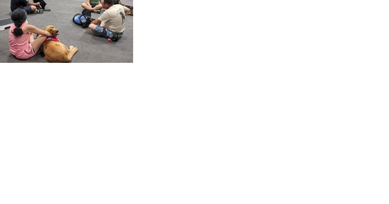 Dog Tag Buddies - Vimarsana News