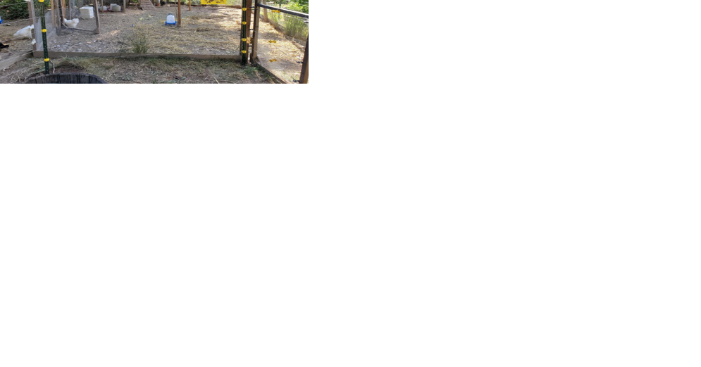 Electric fence workshop in Red Lodge to help attendees keep bears away from attractants - Vimarsana News