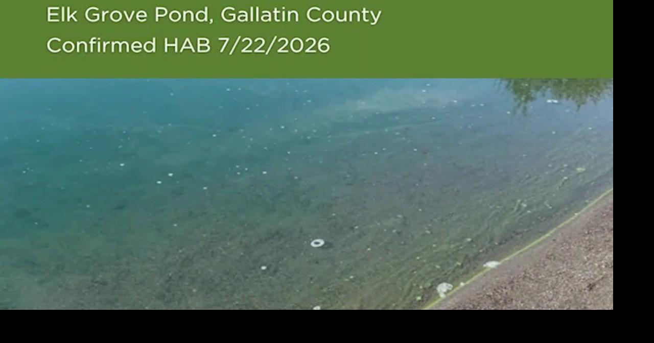 MT health officials warn of harmful algal blooms