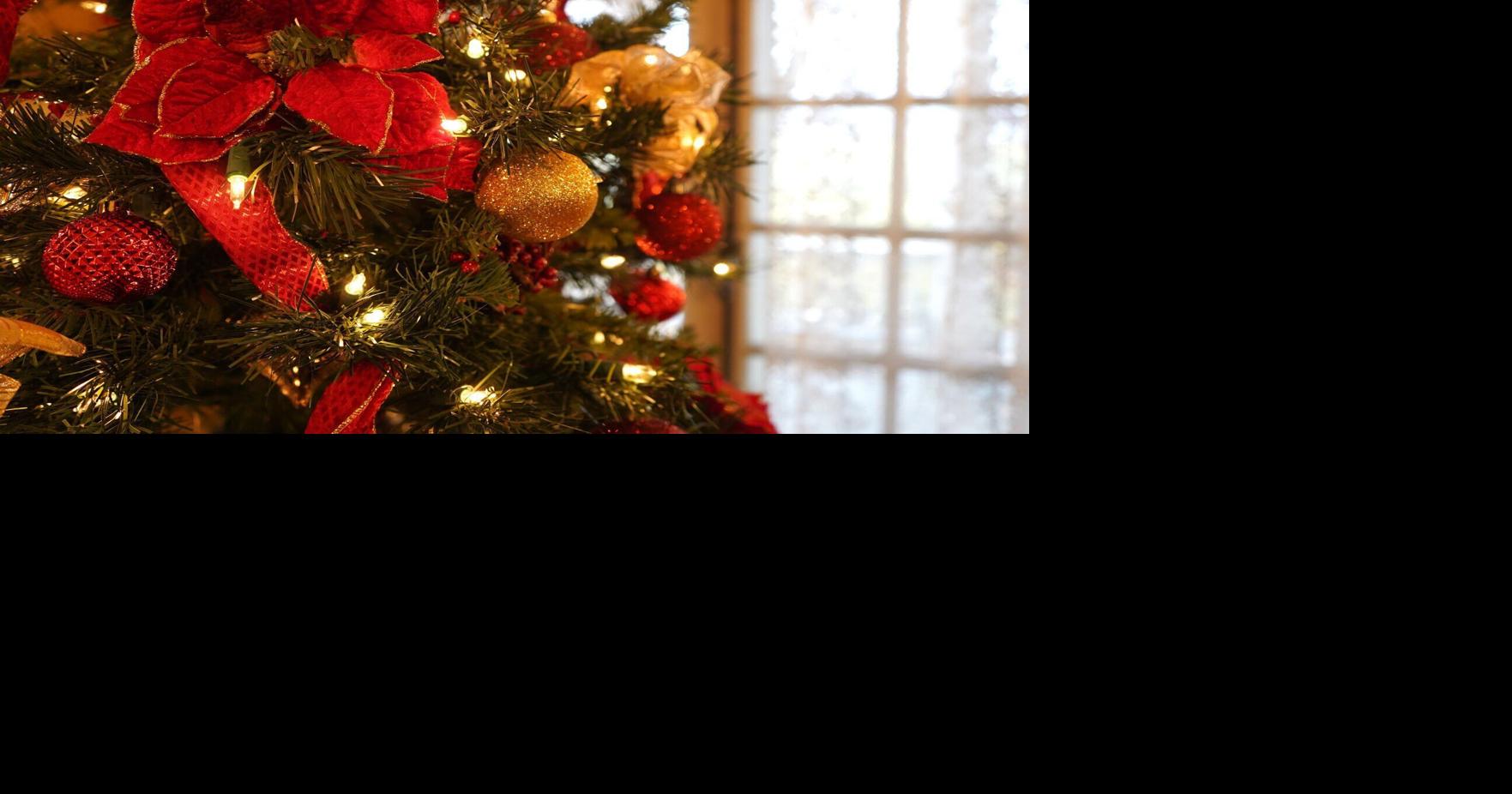 Lights, carols and community: Hamilton's Daly Mansion celebrates Festival of Trees