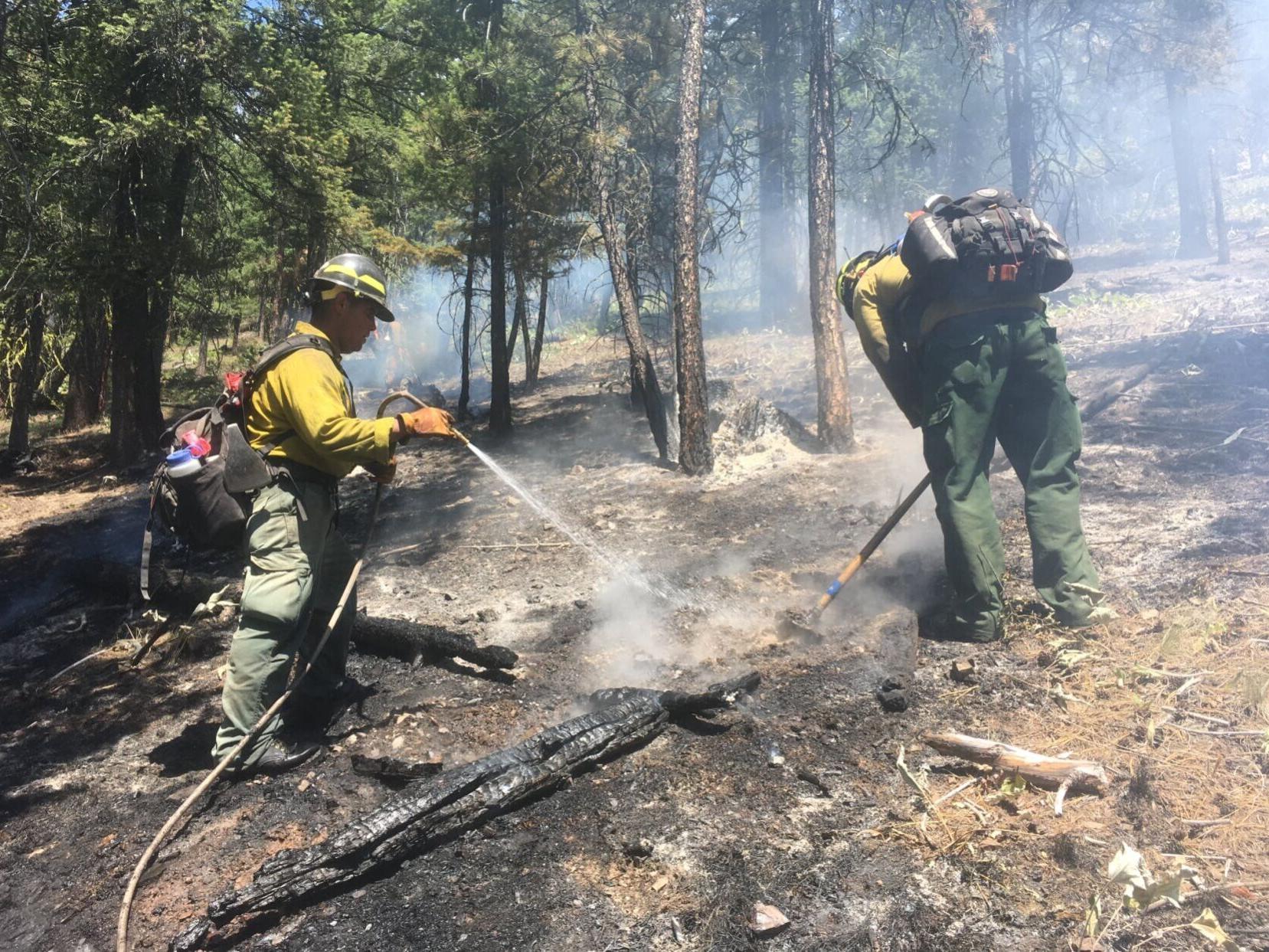Fire crews responding to lightning-caused fires across the forest - Vimarsana News