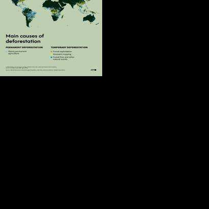 Main causes of deforestation