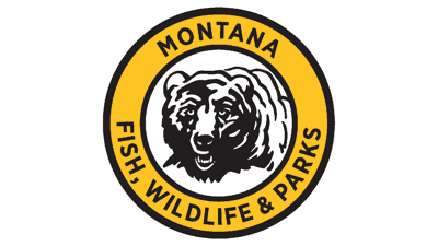 Montana Fwp Says Hunting Permit Drawing Results Are Now Available Montana News Kulr8 Com