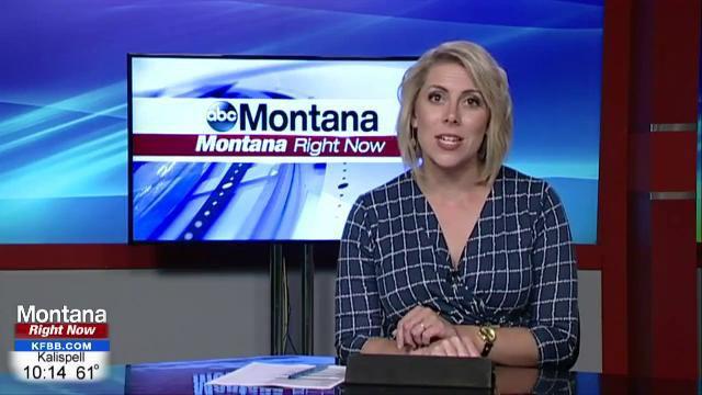 Mural Telling The Story Of Famous Bull Is Dedicated In Belgrade Regional Kulr8 Com