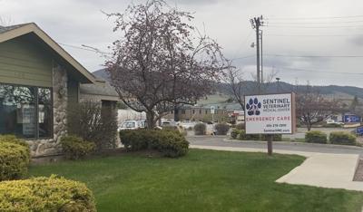 Veterinarians Launch New Emergency Pet Center In Missoula Regional Kulr8 Com