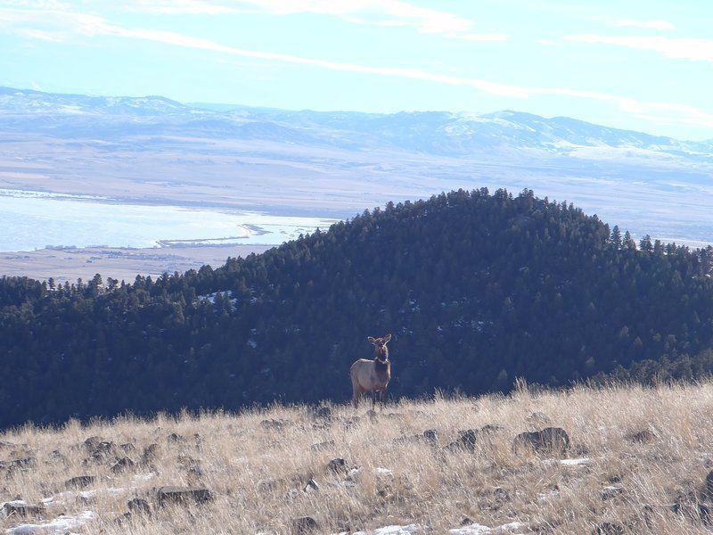 Fish Wildlife & Parks added two field day courses for hunter education