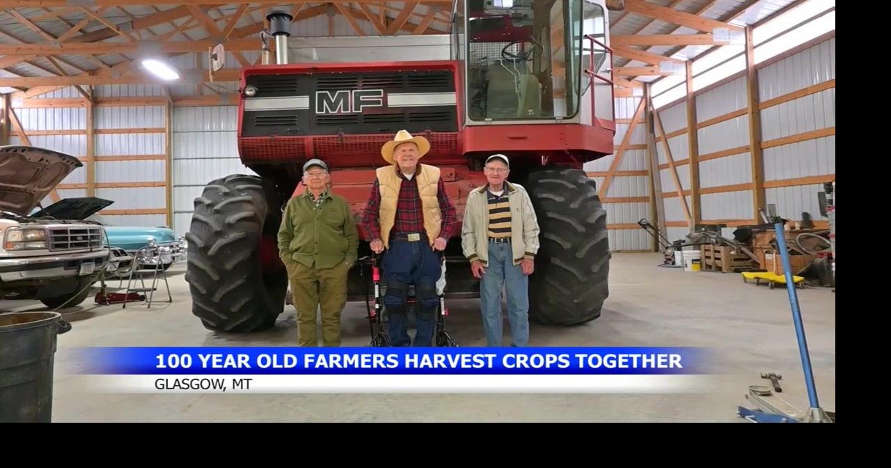 100 years young: Three Glasgow centenarians come together for another harvest