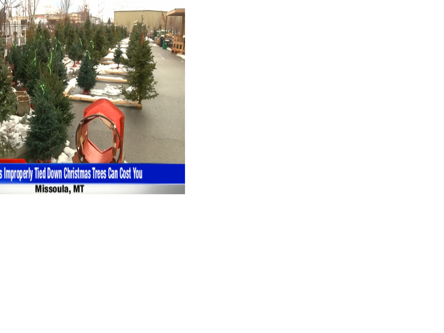 Tie down your Christmas trees News
