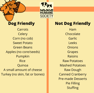 What can t dogs eat list discount