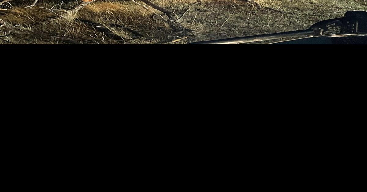 Rosebud Co. Sheriff’s Office, BIA, Colstrip PD launch search and rescue