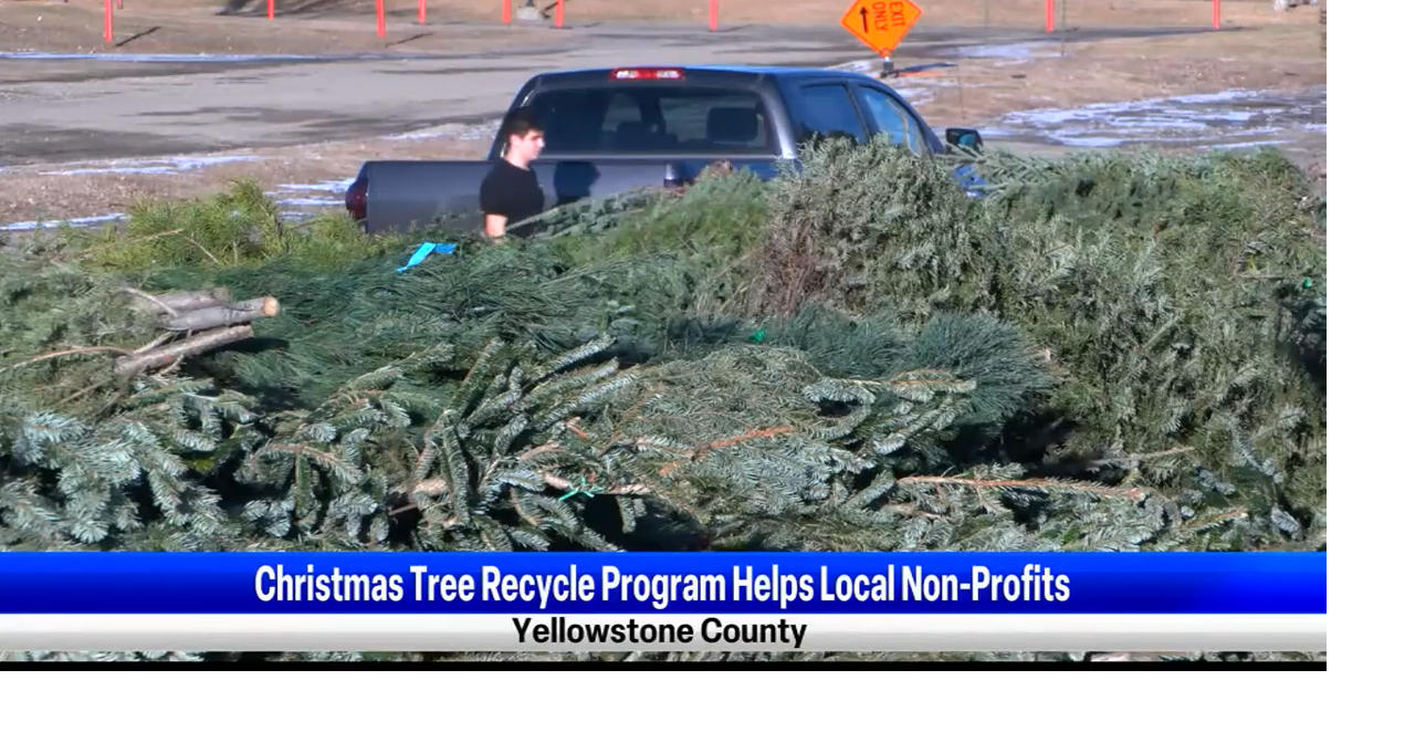 Recycle Program turns Christmas trees into mulch for local Non Profits