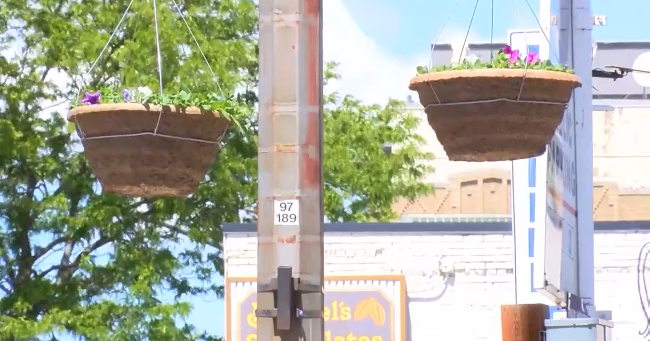 Flower Baskets are back in Downtown Billings thanks to DBA BID program - Vimarsana News