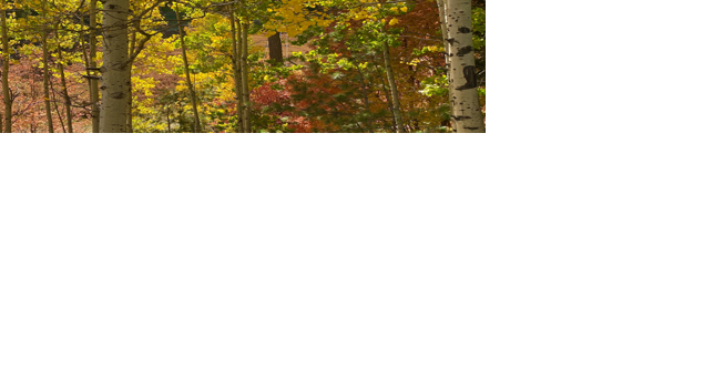 Hittin' the Trails 4 You - Fall Foliage - Vimarsana News