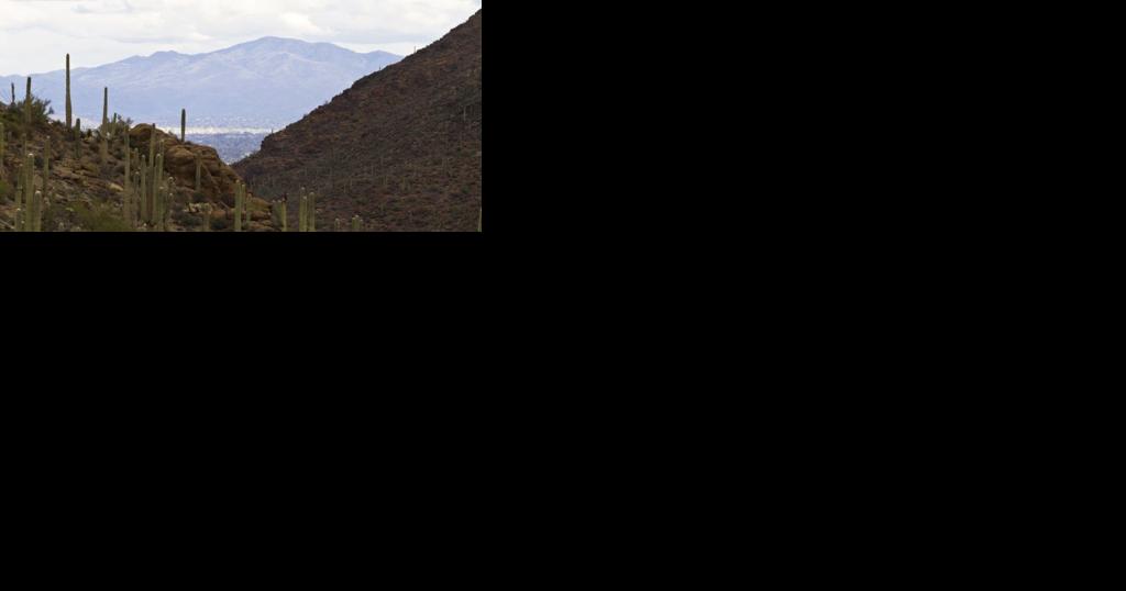 Two people dead after a crash near Gates Pass - Vimarsana News