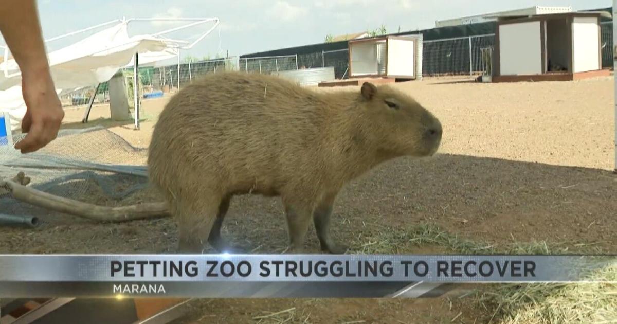 Ghost Ranch Exotics struggles to recover after devastating Monsoon ...