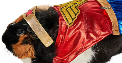 Petsmart small animal costumes best sale