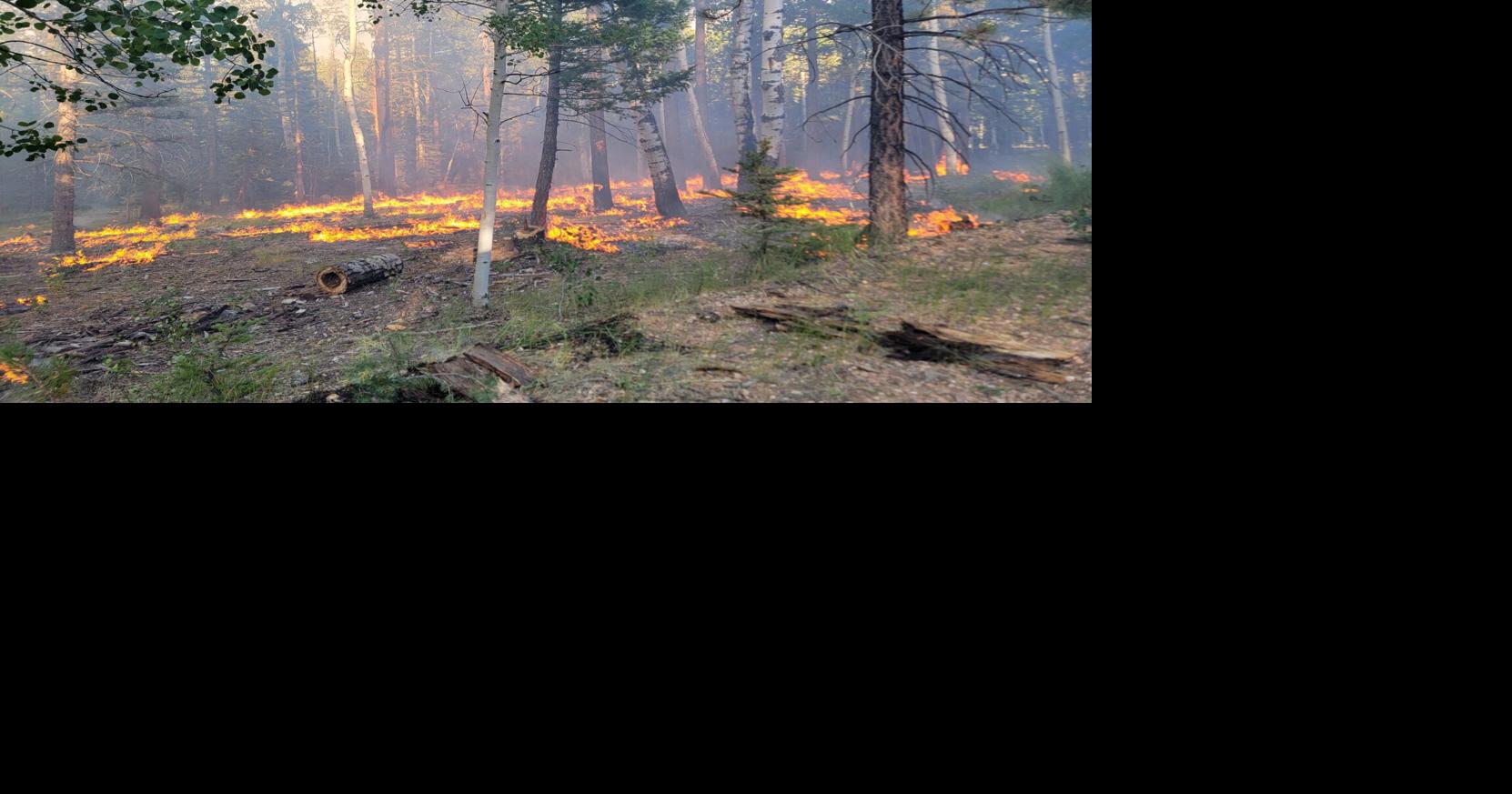 Firefighter Dies Battling Dragon Bravo Fire Grand Canyon