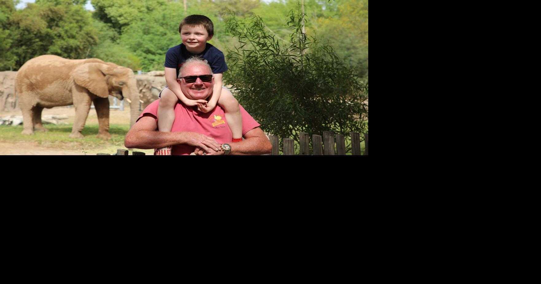 Multiple Zoos Host Free, Discounted September Events for Families