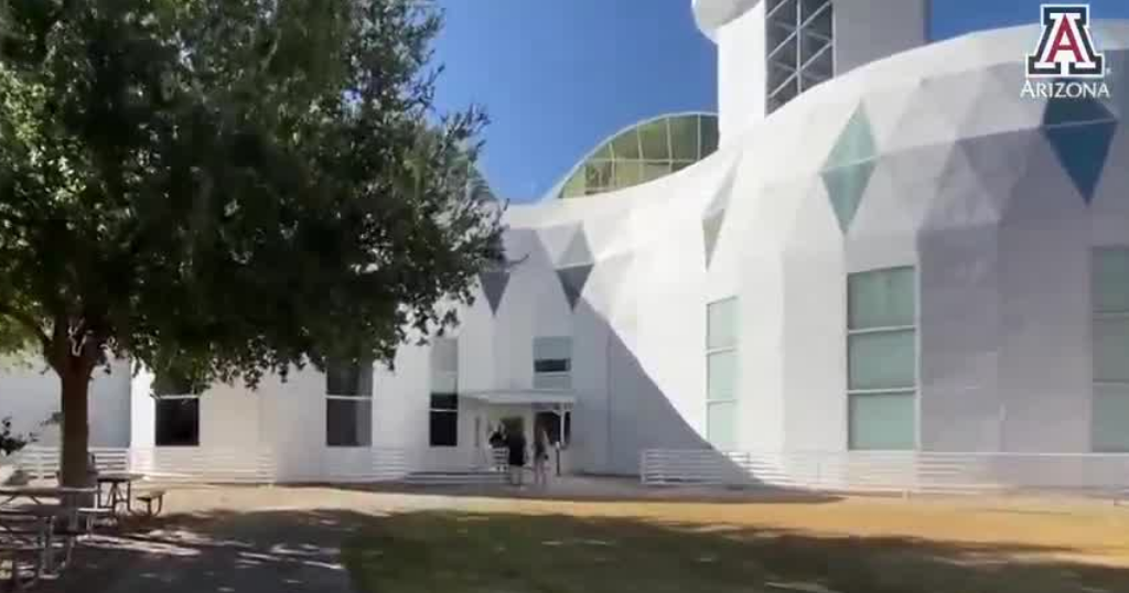 U of A's Biosphere 2 hosts coral climate resilience study