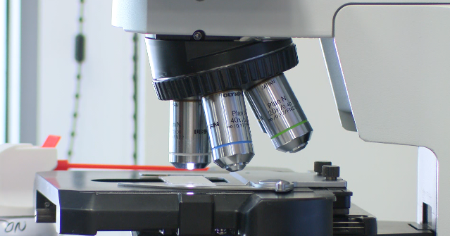 The World is watching Tucson: Bioscience Hub - Vimarsana News
