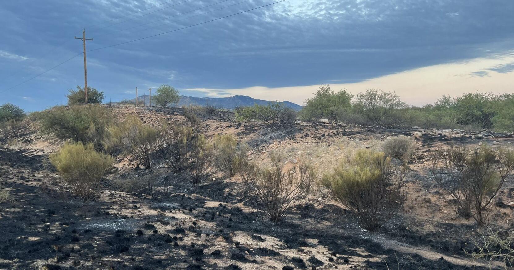 State Route 90 fully reopens but crews continue to fight Post Fire - Vimarsana News